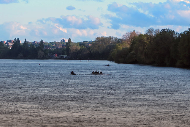 Rowers on the Thames: spring evening