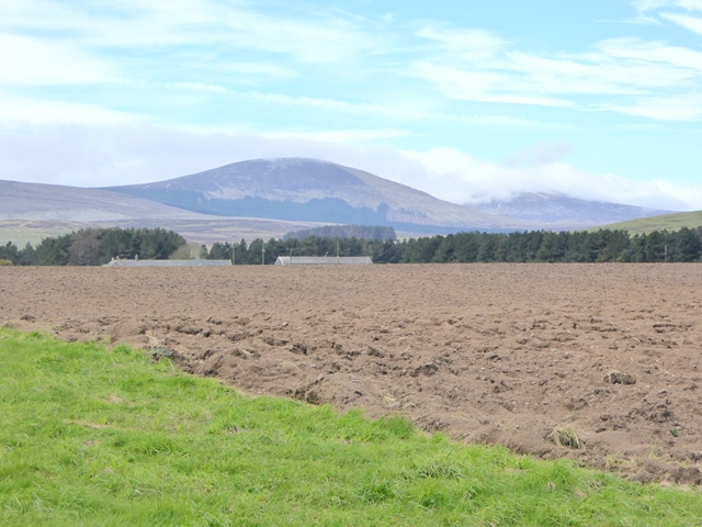 Ploughed field at Calder Farm