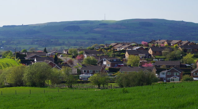 Fields by a residential area of Llandrindod Wells