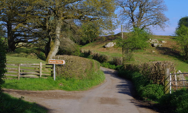 Country lane heading uphill
