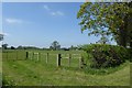 Fields off South Moor Lane