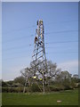 Pylon maintenance north of Bagthorpe