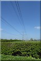 Powerlines crossing Sutton Road