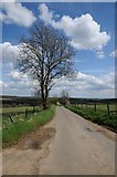 SP0527 : Tree beside a road on Sudeley Hill by Philip Halling