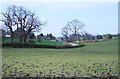 Field beside Easter Blairskaith