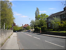SK5462 : Mansfield Road, Mansfield Woodhouse (1) by Richard Vince