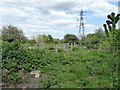 Waterworks Nature Reserve