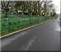 Railings at the eastern edge of Bargoed Park, Bargoed