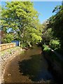 Cullompton: the town leat