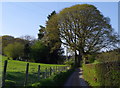 Narrow lane high above the River Wye