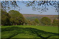 Pasture above the Wye Valley