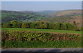 View across lane above the Wye Valley