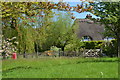 Thatch by the green at Lower Green