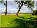 Trees Castle Hume Golf Course