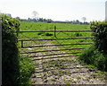 Six-bar field gate, Redwick