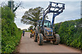 East Devon : Country Lane