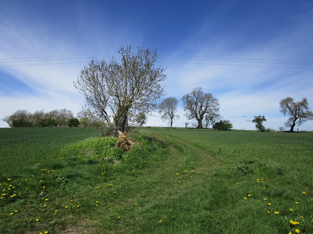 Footpath to Hutton Magna