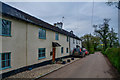 East Devon : Country Lane