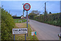 Talaton : Village Road