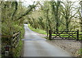 Cattle grid near Lower Hamatethy