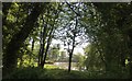 Pond beside Horleigh Green Road