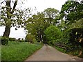 Driveway to Holcombe Manor