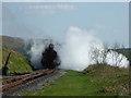 SO0416 : Brecon Mountain Railway - a good blowdown by Chris Allen
