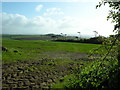 Towards Tregantle Wood