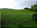 Gate, Mullaghmenagh Upper