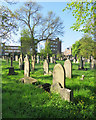 Sunlit headstones in Nottingham General Cemetery