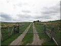 Lane to Hoyle Dean near Fox Hill