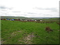 SD8426 : Footpath towards Near Pastures Farm by John Slater