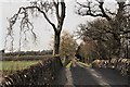 Bridge and road to Keirallan