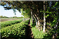 Path leading to Cissplatt Lane, Keelby