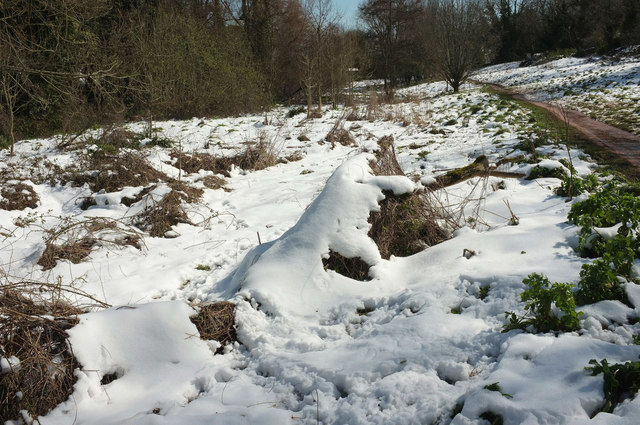 Cockington water meadows under snow