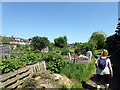 Allotments in Hanwell