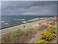 View from a Fort William-Mallaig train - Glasnacardoch Bay