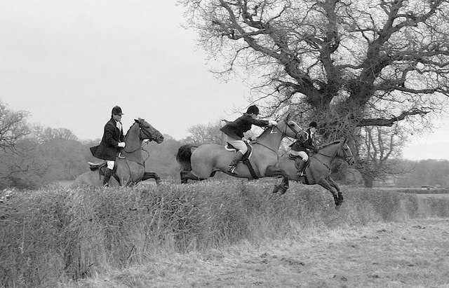 Beaufort Hunt, nr Alderton, Wiltshire... © Ray Bird :: Geograph Britain ...