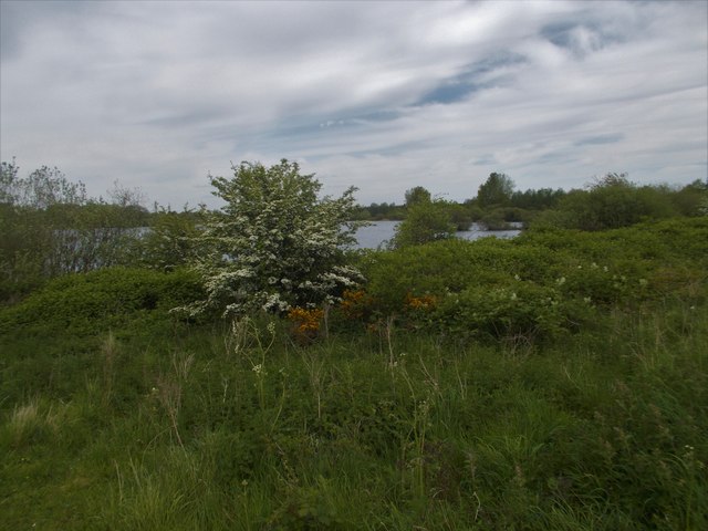 Idle Valley Nature Reserve