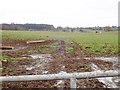 Grazing land on the east side of the Ballynamona Road