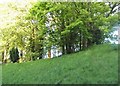 Grassy bank on Warminster Road