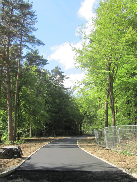 The far end of the new stretch of road in Wendover Woods
