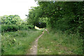 Bridleway towards Strood Green