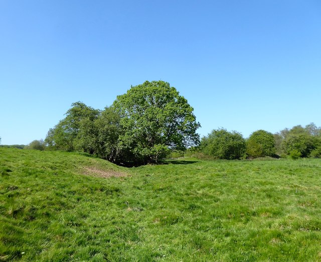 Site of Burgh Wood Forge