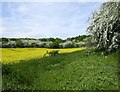 Farmland at Chattenden