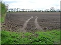 SE6454 : Bare field, north of Bad Bargain Lane by Christine Johnstone