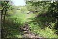 Field footpath to Gwaun-gledyr-uchaf