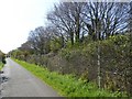 SX9787 : Cycle track north of Exton, passing railway cutting by David Smith
