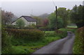 Dollynwydd on a misty morning