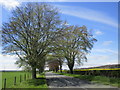 The road to Westwick near Burnholme Farm